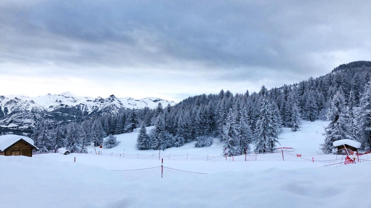 Les Chalets Du Parc Aux Etoiles - Cimes Et Neige Διαμέρισμα Puy-Saint-Vincent Εξωτερικό φωτογραφία